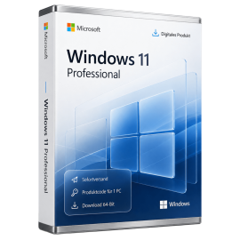 Windows 11 Professional